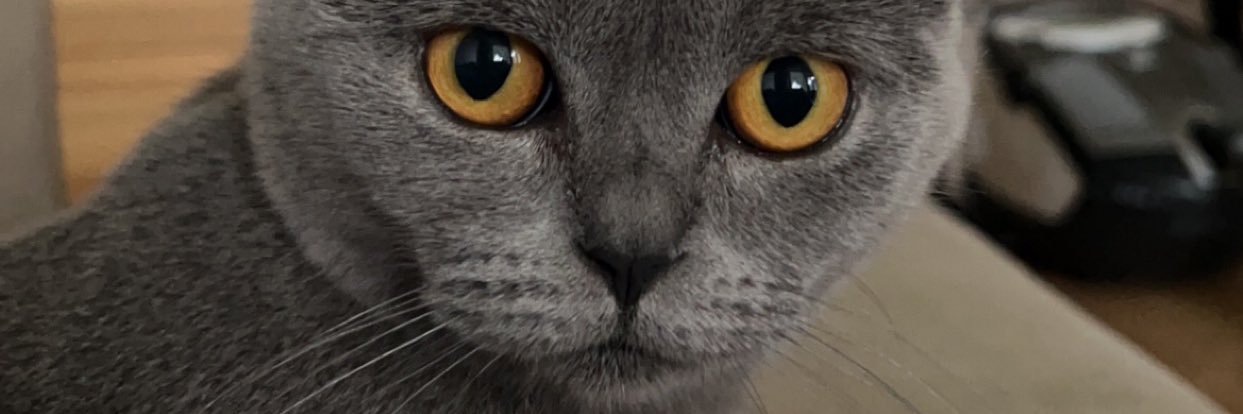 anekblote's profile banner image