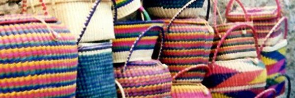 SraTrimmer Profile Banner