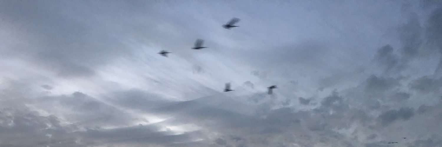 shanpitre's profile banner image