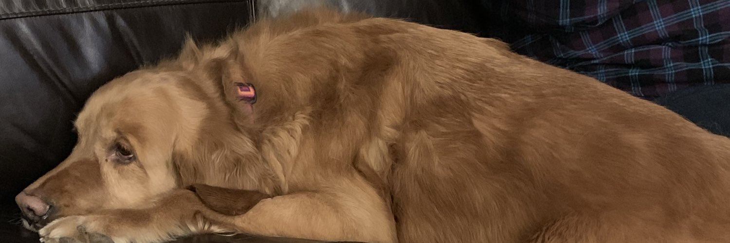 NancyFobare's profile banner image