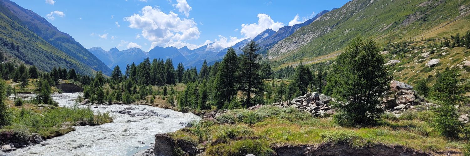 Daan Planting banner