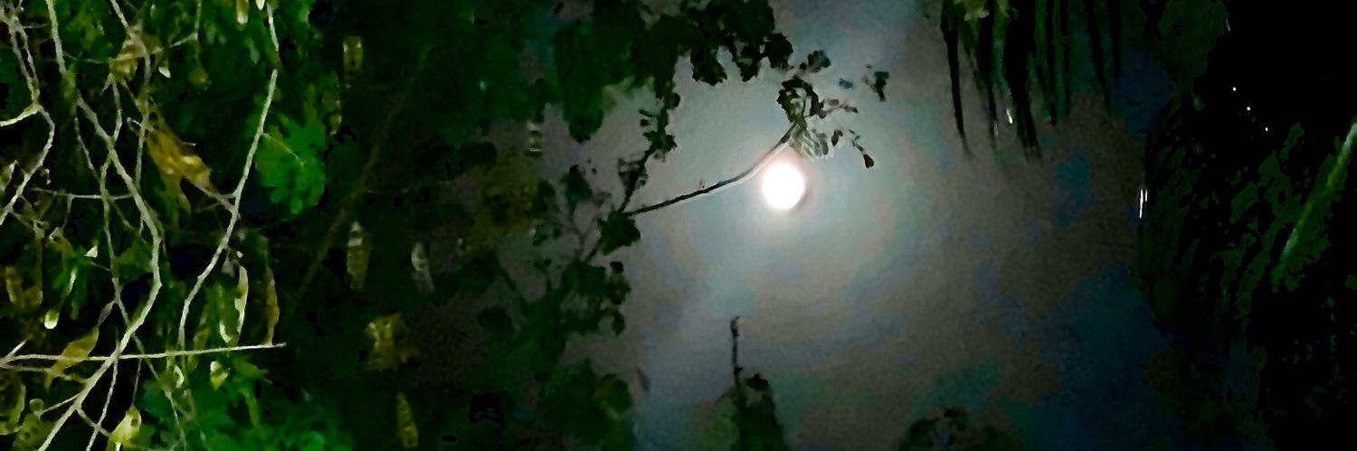 aboiadh's profile banner image