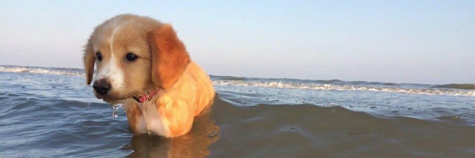 thecedeniz's profile banner image