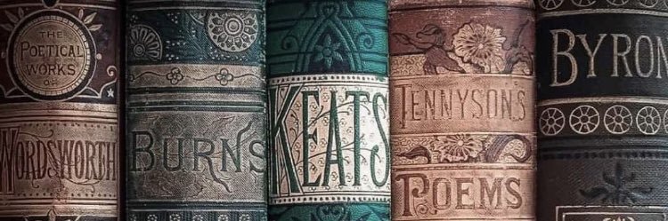 SandraPirone's profile banner image