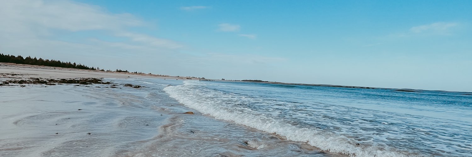 dsymondsxo's profile banner image