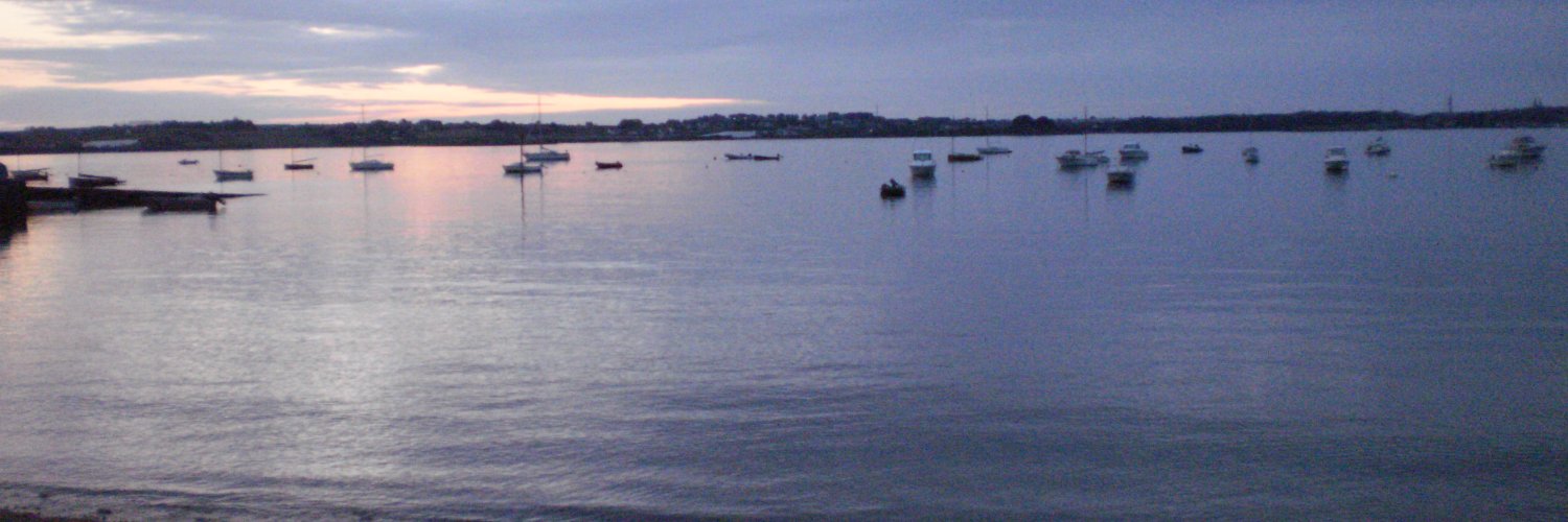 Géraldine Maugars banner