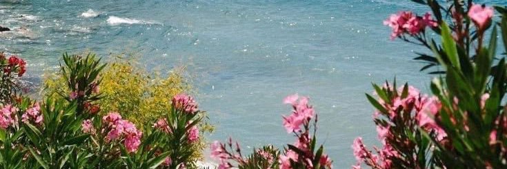 kkatherinee4's profile banner image