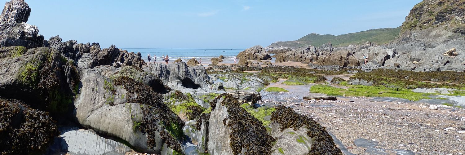 Mrs Wakefield MCCT MSc NPQSL banner