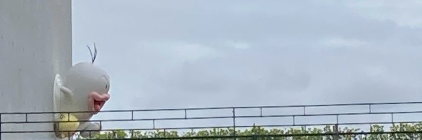 𝚂𝙰𝙺𝚄 banner