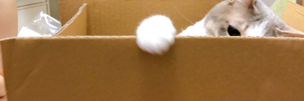 nullexception5 Profile Banner