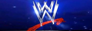WWEFanVote's profile banner image