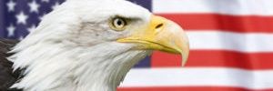 Seraid's profile banner image
