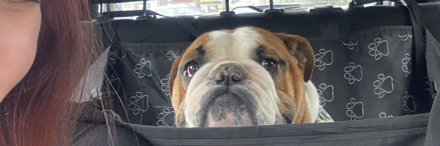 victorialisbo's profile banner image