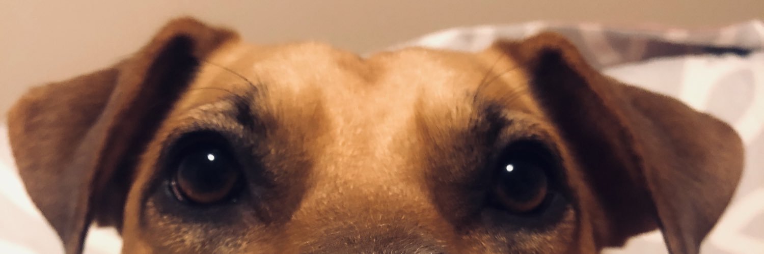 amber_dolack's profile banner image