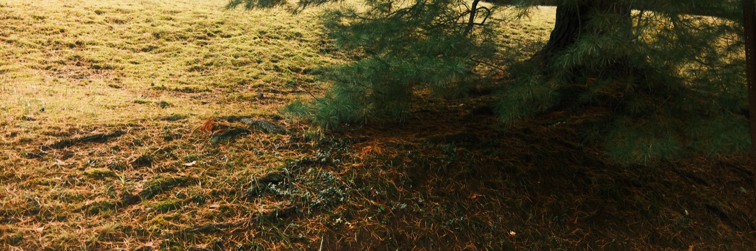 cole_kilhoffer's profile banner image