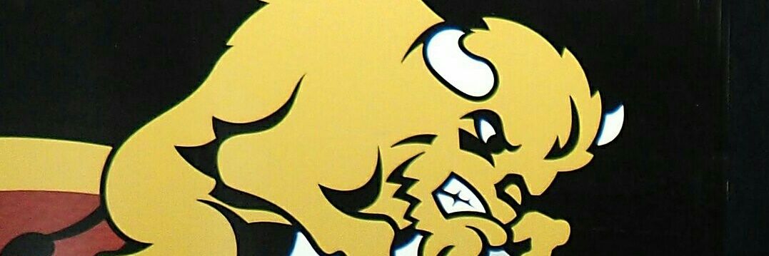BaseballMBprez's profile banner image