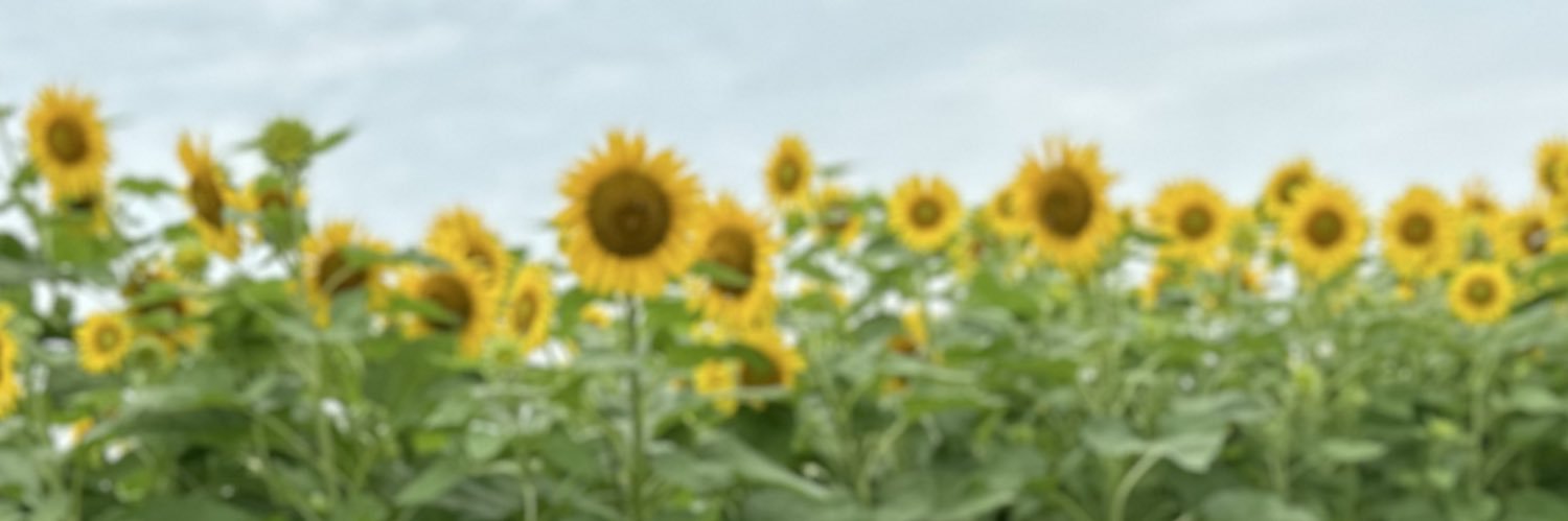 er3omi12's profile banner image