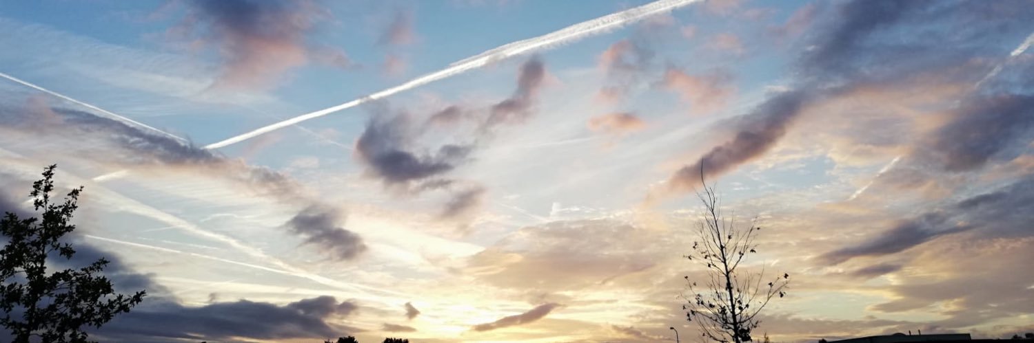 x_Melll's profile banner image