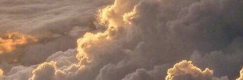 Aoi_Papillon's profile banner image