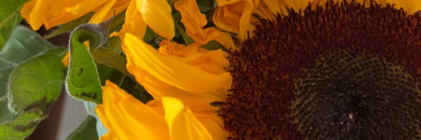 Atadvias's profile banner image