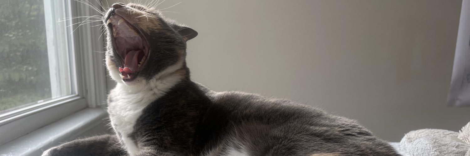 kenbone3000's profile banner image