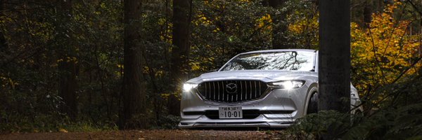 Th1emu___ Profile Banner