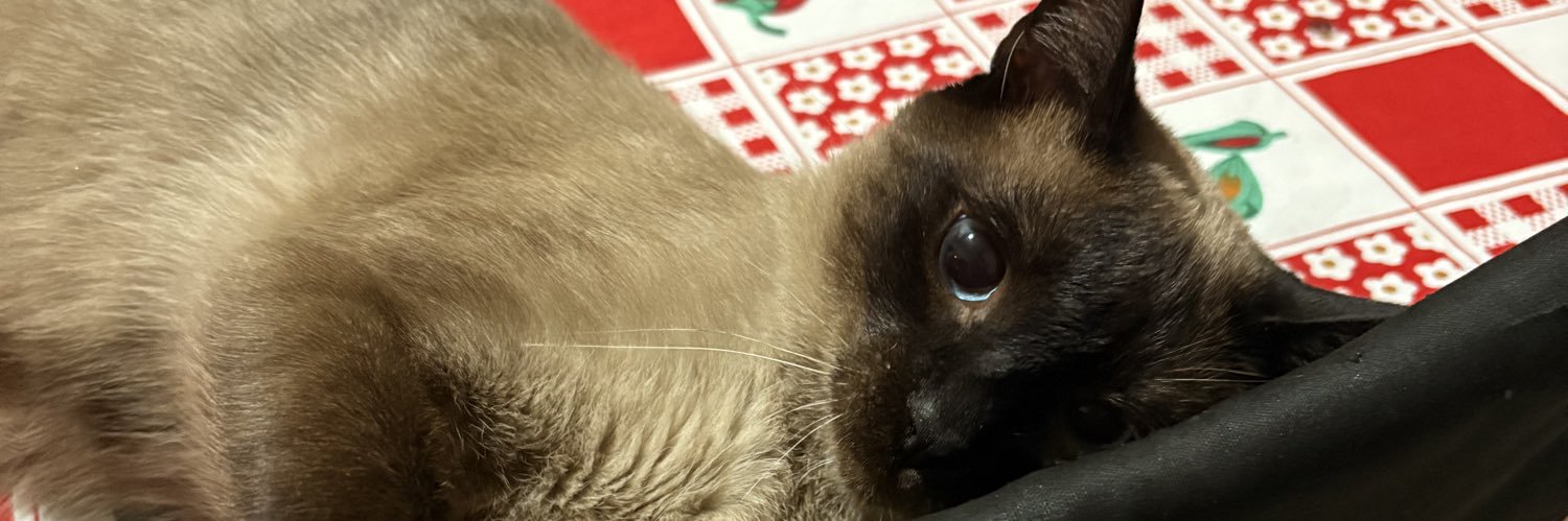 gustavo boasorte da silva banner