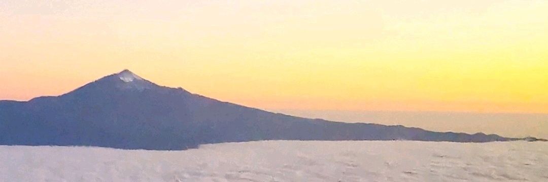 Pepepardal's profile banner image