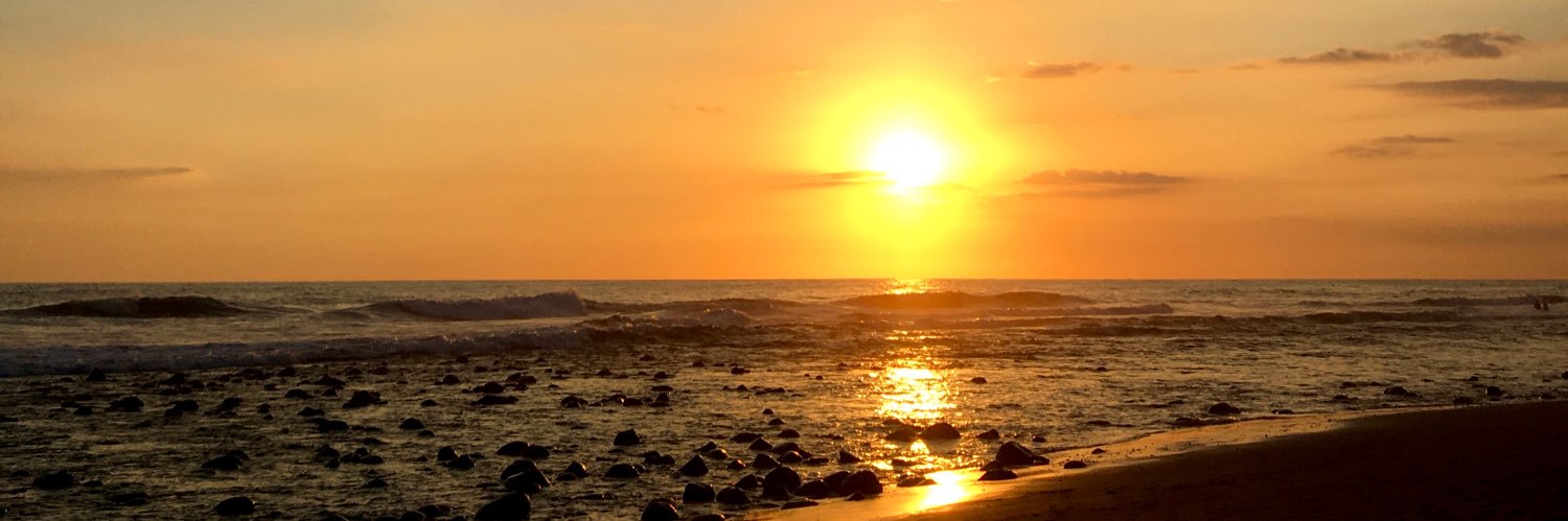 kokoguez's profile banner image