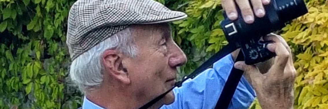 Giorgio Tassi banner