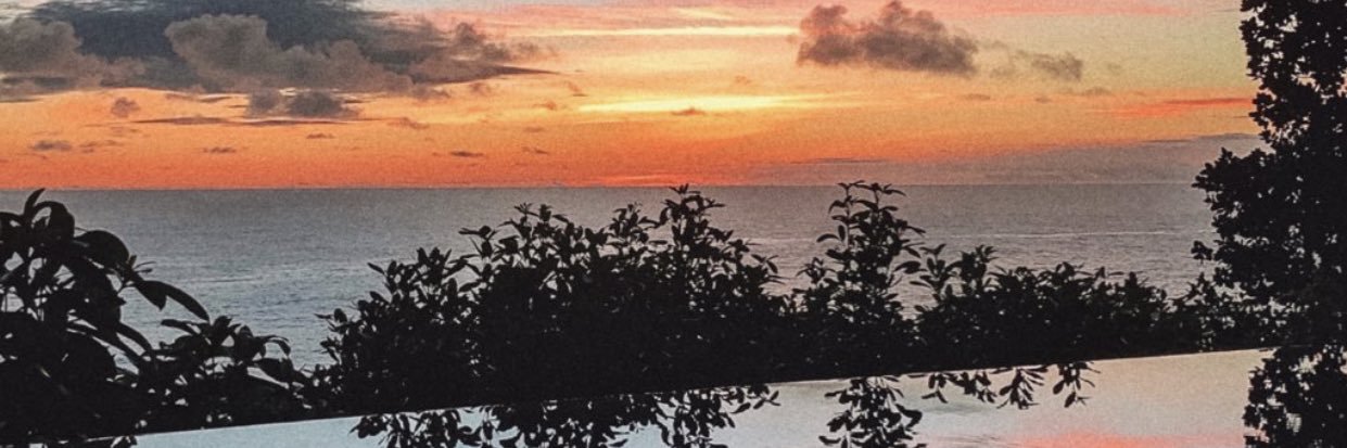 margotbsnn's profile banner image
