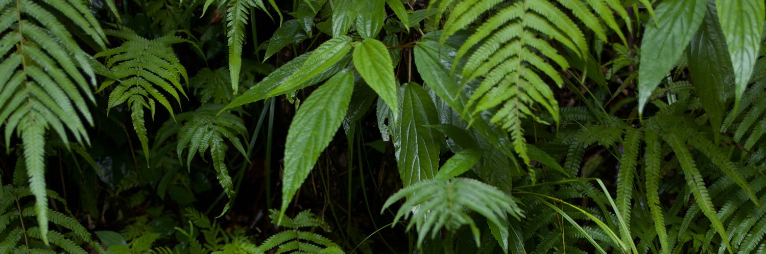 Brian Armstrong banner