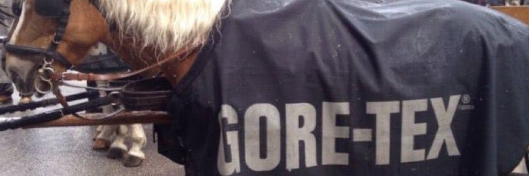 fuzzydogdog's profile banner image