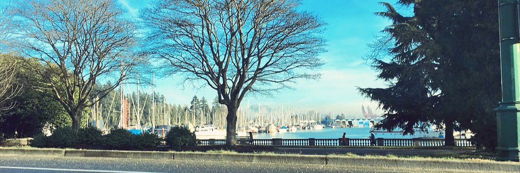 SamSedHill's profile banner image