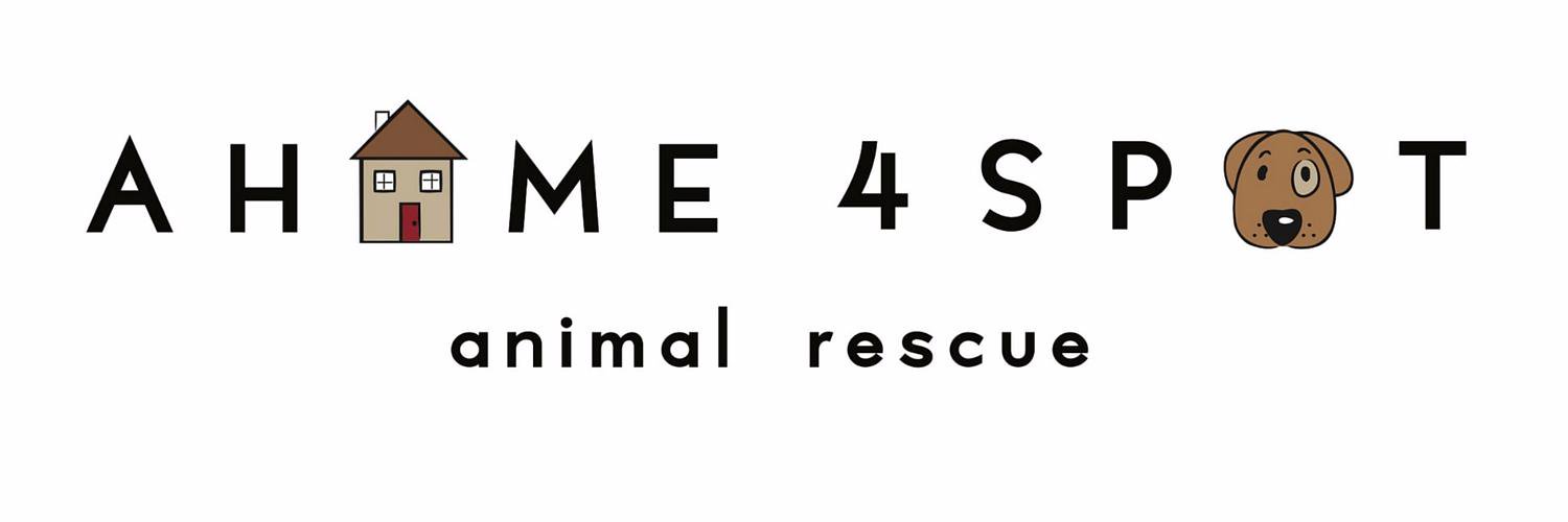 AHome4Spot's profile banner image
