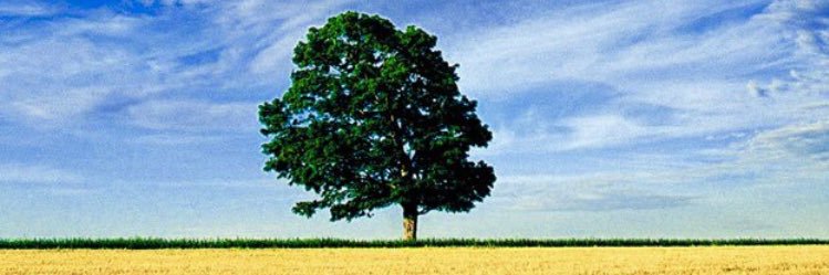 KevinForReal's profile banner image