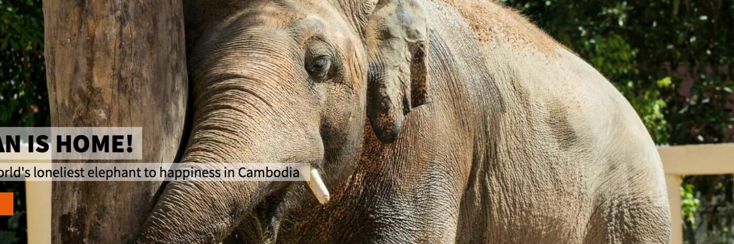 Shahida🇵🇸 banner