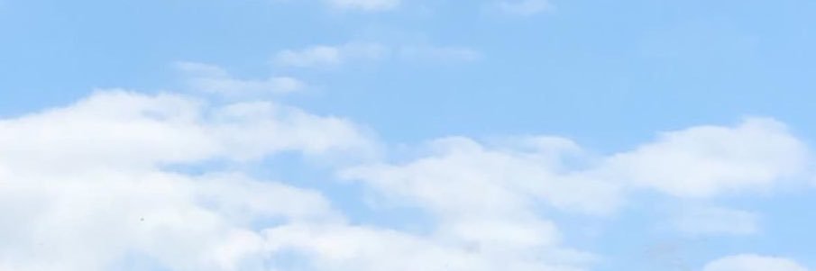 cleocoates's profile banner image