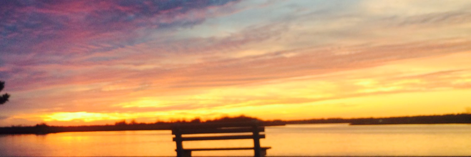 beachdaze732's profile banner image