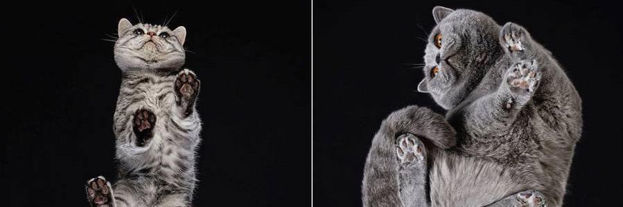 oye_posts's profile banner image