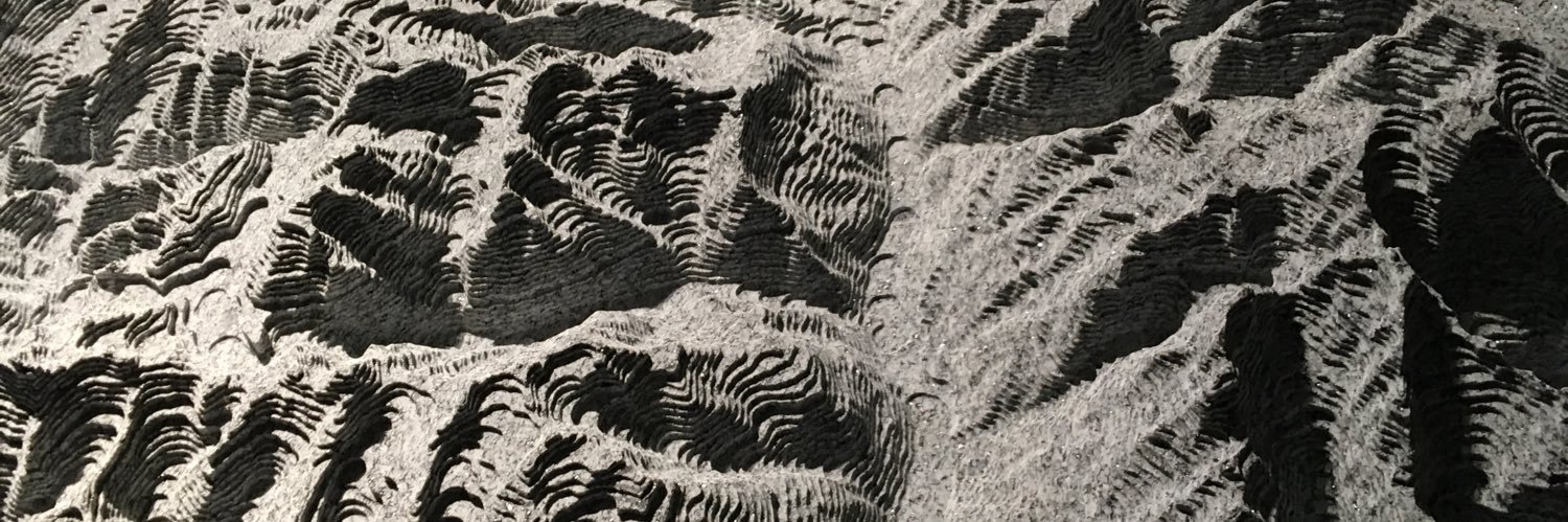 DanielKellenber's profile banner image