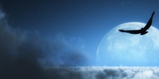 GiL__719's profile banner image