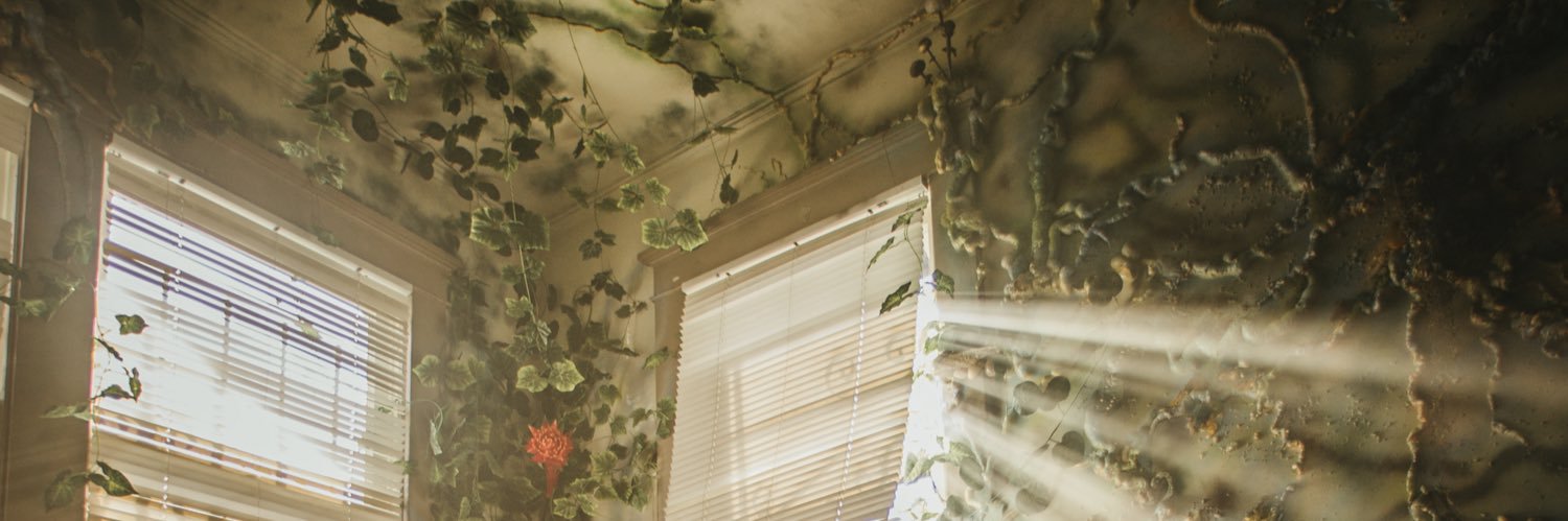 of the trees 🌿's banner