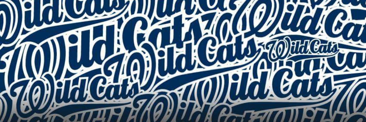 Wildcats Colombes banner