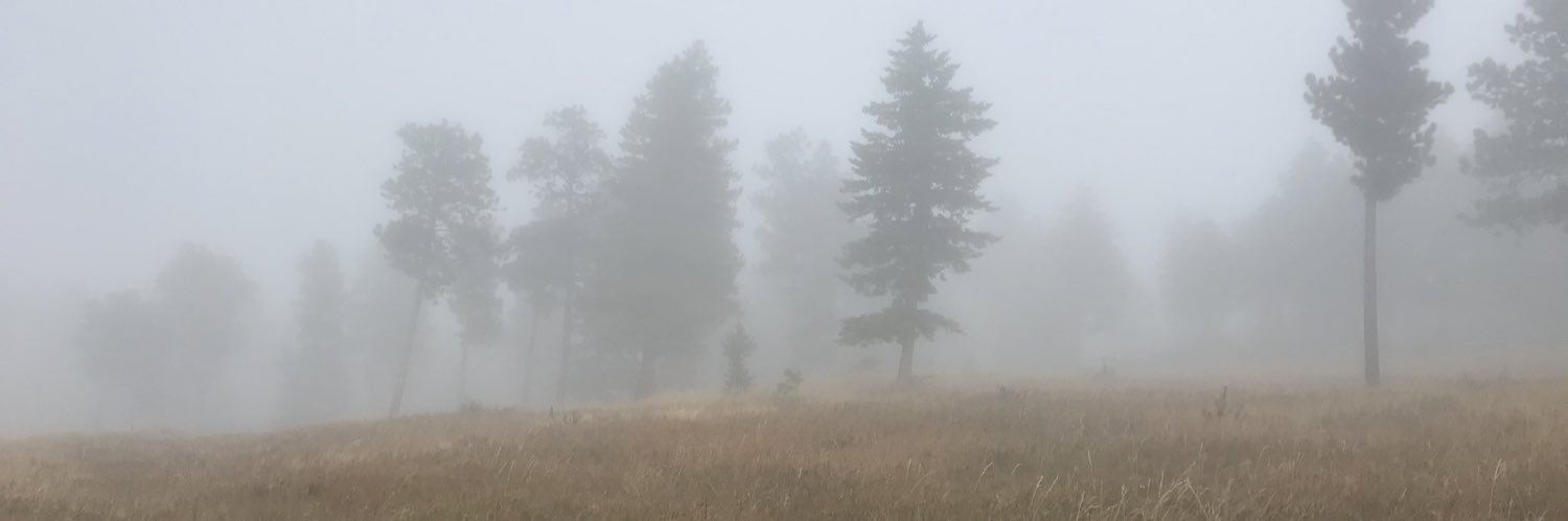 monliev18's profile banner image