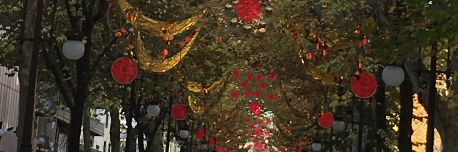 valgrafi's profile banner image