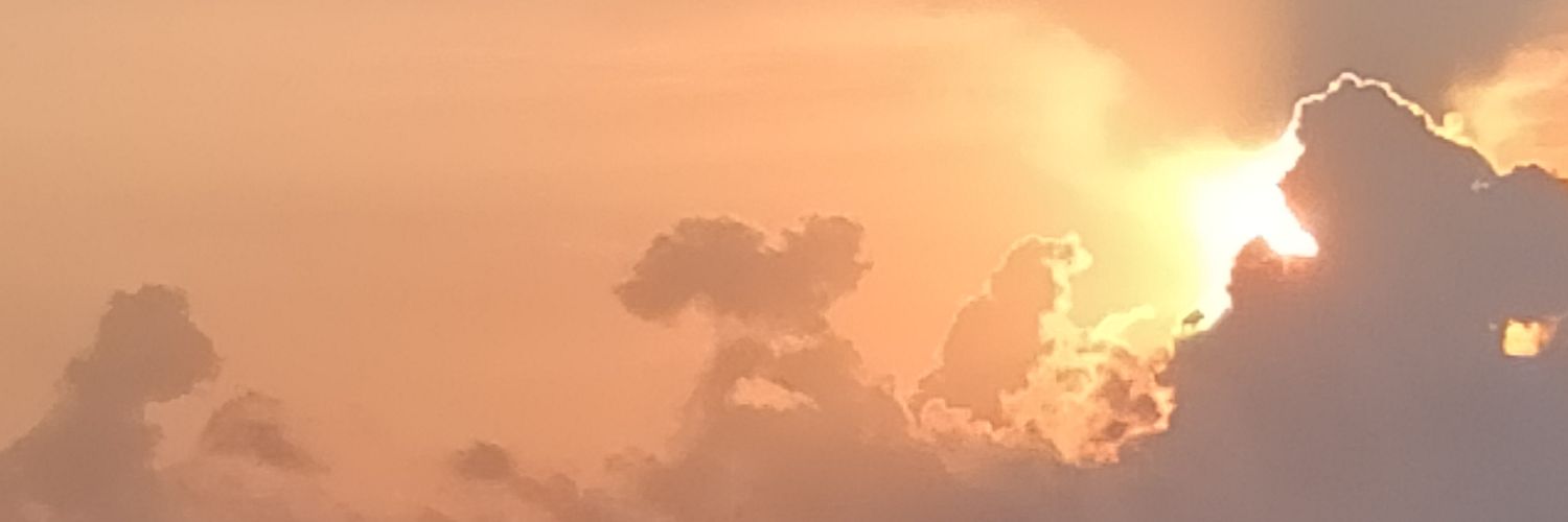 Javier Muvdi banner