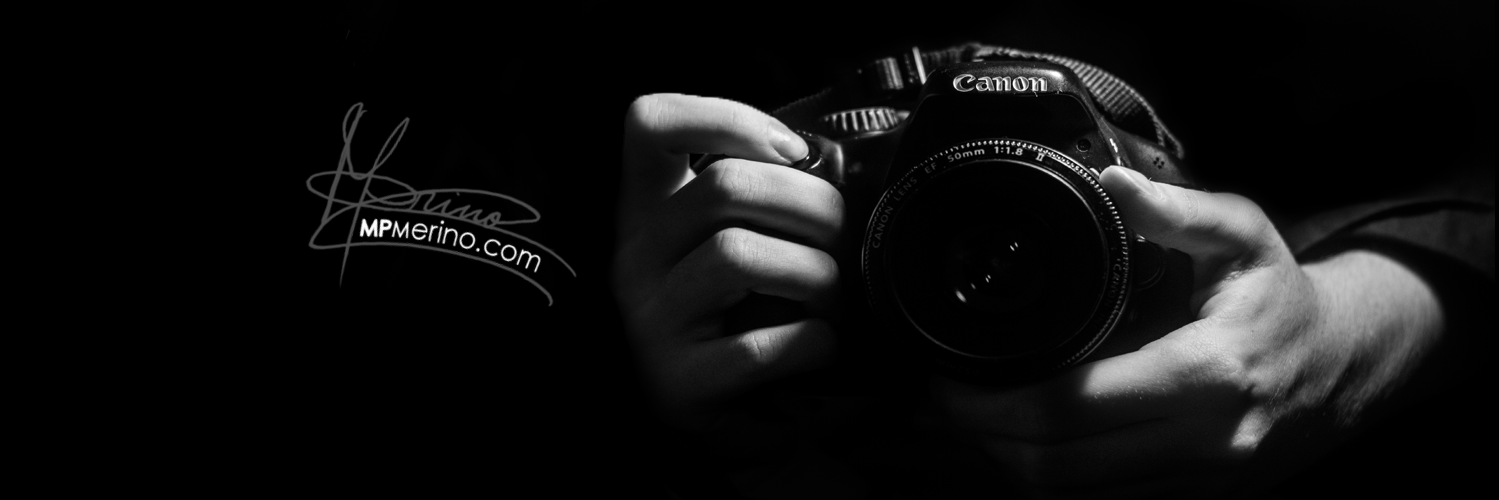 Marta P. Merino banner