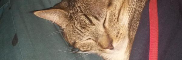 MariaEstela1803's profile banner image