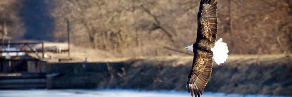 mountainman1001's profile banner image